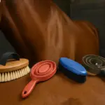 Spazzole e strigliatoi per il cavallo di casa: Quale set è davvero utile secondo i professionisti