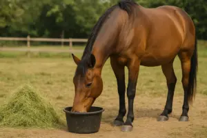 Controllo del peso nel cavallo domestico: Strategie facili per prevenire sovrappeso e magrezza