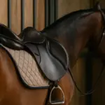 Selle per cavalli da compagnia: il dettaglio della forma che cambia tutto