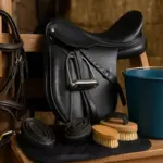 Selleria e accessori per famiglie con cavalli: il pezzo che si dimentica sempre