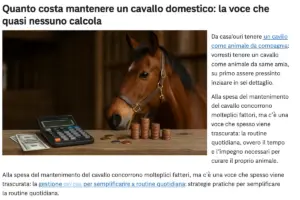 Quanto costa mantenere un cavallo domestico: la voce che quasi nessuno calcola