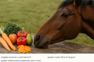Frutta e verdura per cavalli: quali danno più benefici e quali evitare