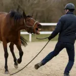 Cavallo che morde o calcia: il campanello d’allarme che rivela disagio reale