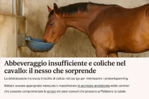 Abbeveraggio insufficiente e coliche nel cavallo: il nesso che sorprende