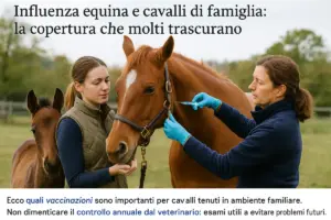 Influenza equina e cavalli di famiglia: la copertura che molti trascurano