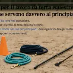 Attrezzi per il lavoro da terra equestre: quelli che servono davvero al principiante