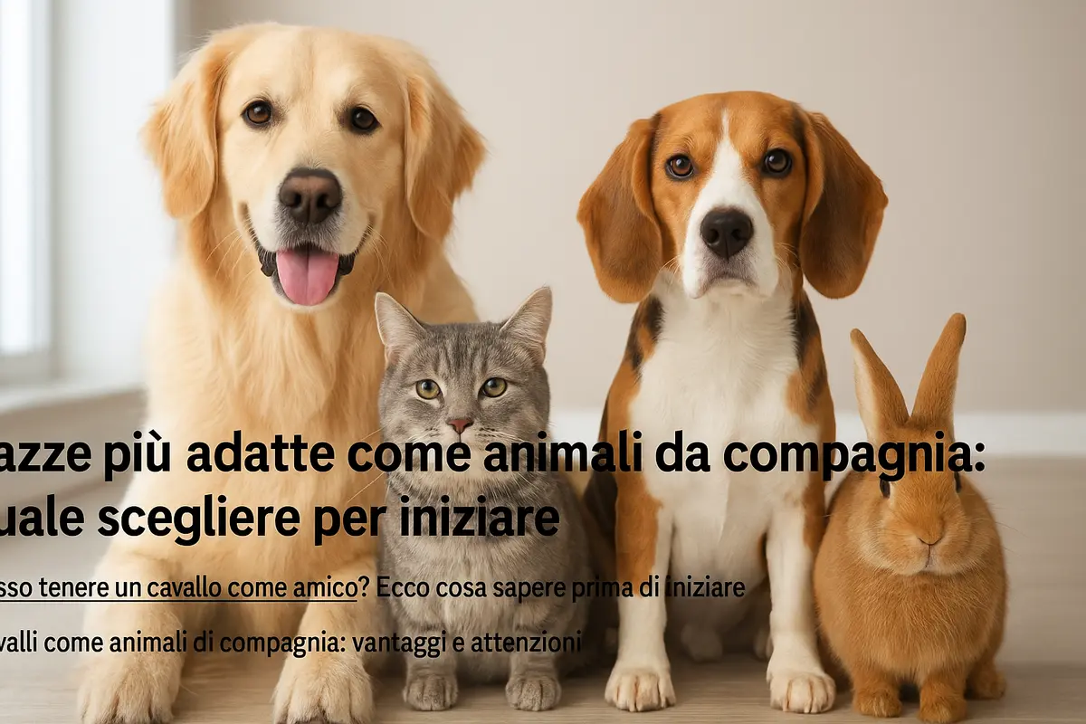Razze più adatte come animali da compagnia: quale scegliere per iniziare