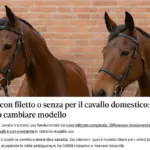 Briglia con filetto o senza per il cavallo domestico: quando cambiare modello