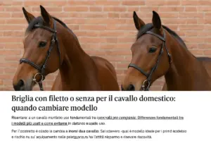 Briglia con filetto o senza per il cavallo domestico: quando cambiare modello