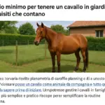 Spazio minimo per tenere un cavallo in giardino: i requisiti che contano