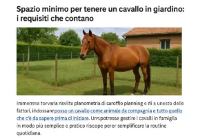 Spazio minimo per tenere un cavallo in giardino: i requisiti che contano
