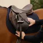 Sella usata per cavallo da compagnia: i controlli che evitano problemi alla schiena